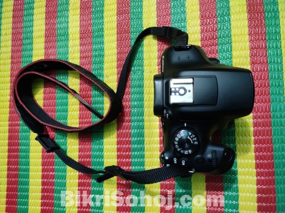 Canon 1300d with 75-300 zoom lens, 50mm prime lens
